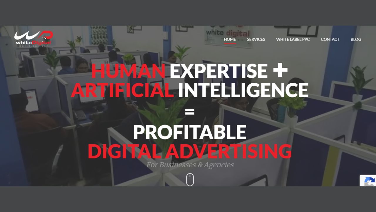 White digital - top 10 PPC Companies in India