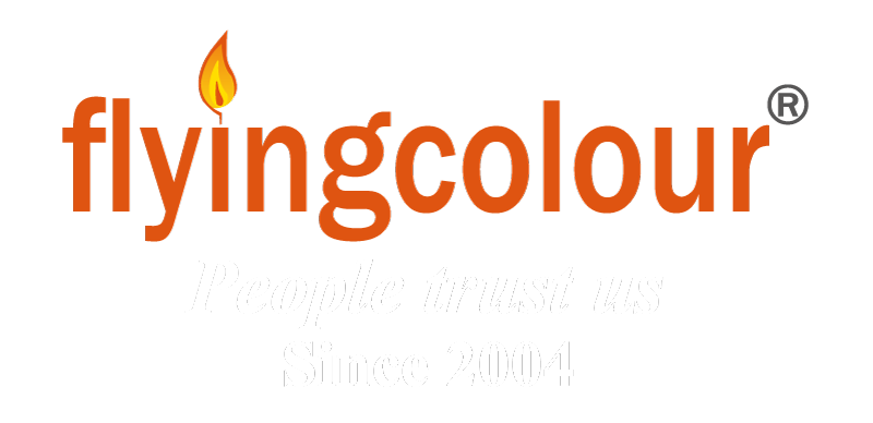 Flyingcolour logo - google ads agency India