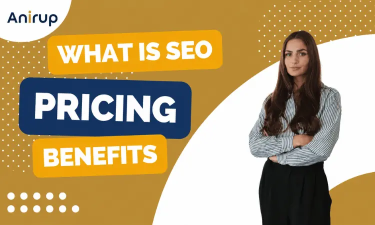 SEO service process by Anirup Technologies